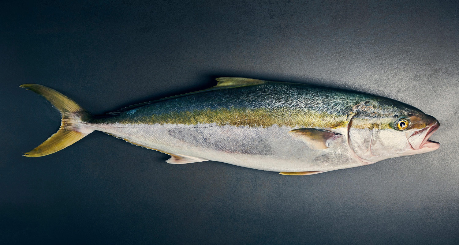 Seafood export coordination from Ecuador
